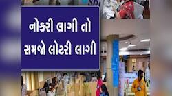 ફટાફટ તૈયાર કરો બાયોડેટ! બેંકિંગ-શિક્ષણ સહિત ઘણા વિભાગોમાં છે 7 સરકારી નોકરીની ભરતી