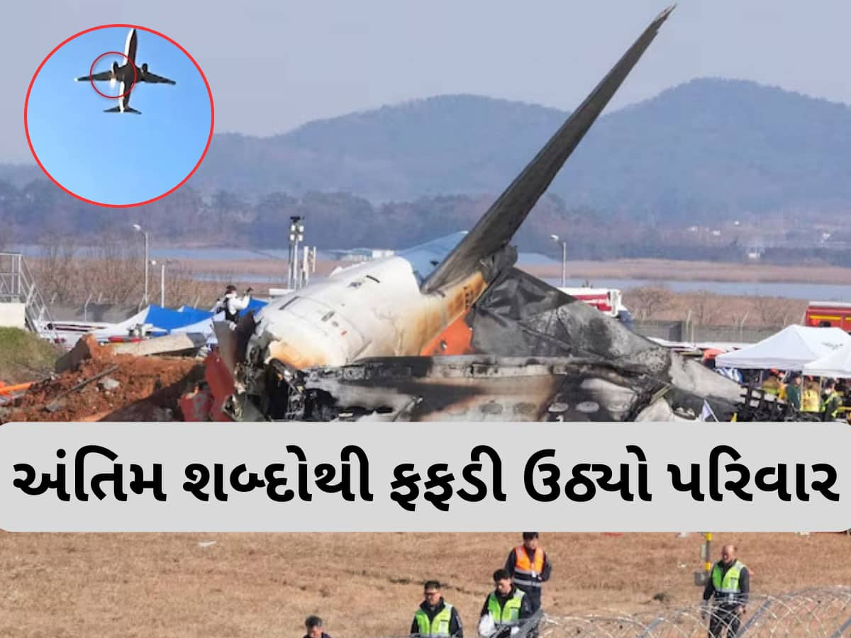 Korea Plane Crash :  પ્લેન ક્રેશ થયું તે પહેલા મુસાફરે પરિવારને મોકલ્યો એવો મેસેજ...વાંચીને હોશ ઉડી ગયા, શું આ હતું દુર્ઘટનાનું કારણ?