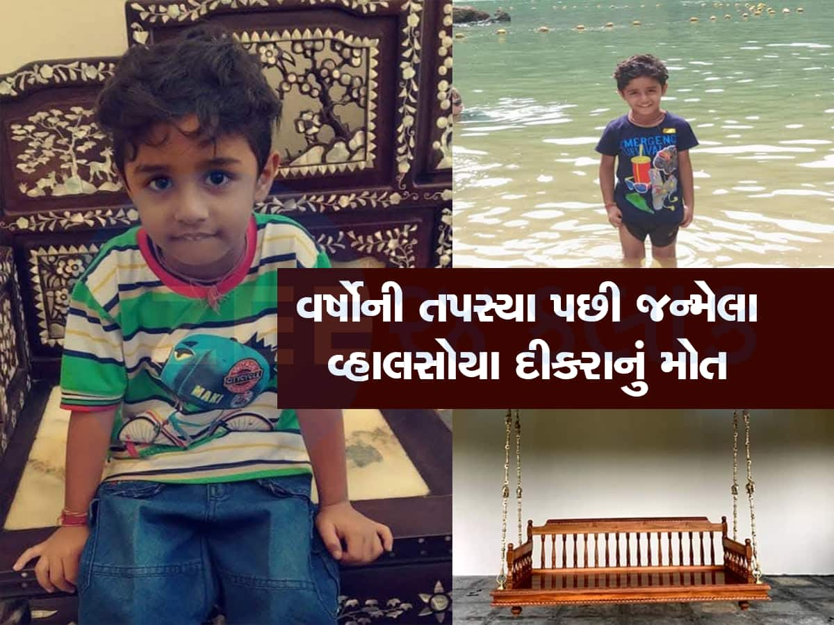 પટેલ પરિવારમાં વર્ષો બાદ આવેલી ખુશી છીનવાઈ, એકના એક દીકરાનું હીંચકાના હુંકમાં ફસાઈ જતા મોત