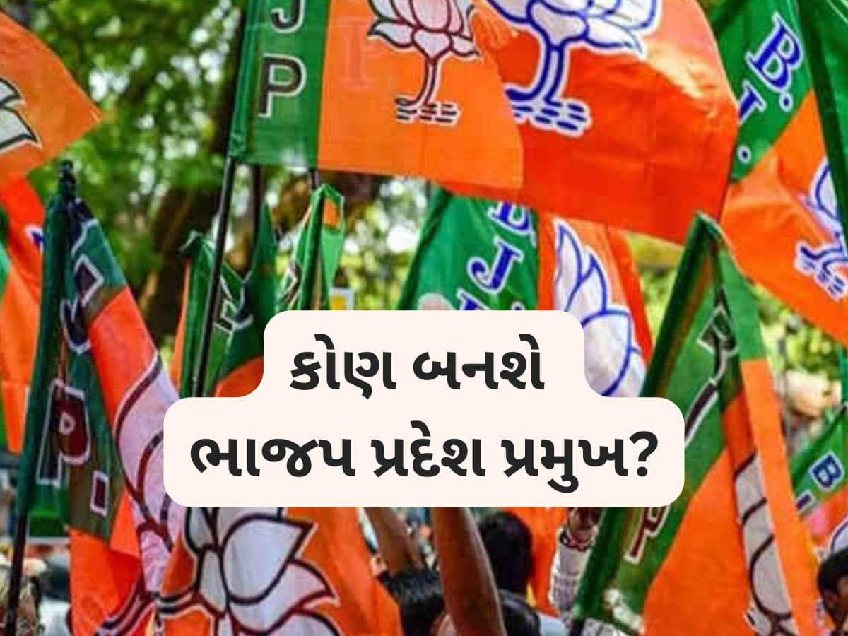 ગુજરાત ભાજપ સંગઠન સરચનાને લઈને મહત્વપૂર્ણ સમાચાર; આજે પસંદગીના માપદંડ નક્કી કરાશે!