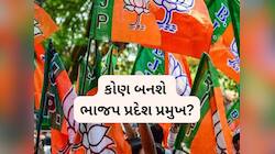 ગુજરાત ભાજપ સંગઠન સરચનાને લઈને મહત્વપૂર્ણ સમાચાર; આજે પસંદગીના માપદંડ નક્કી કરાશે!
