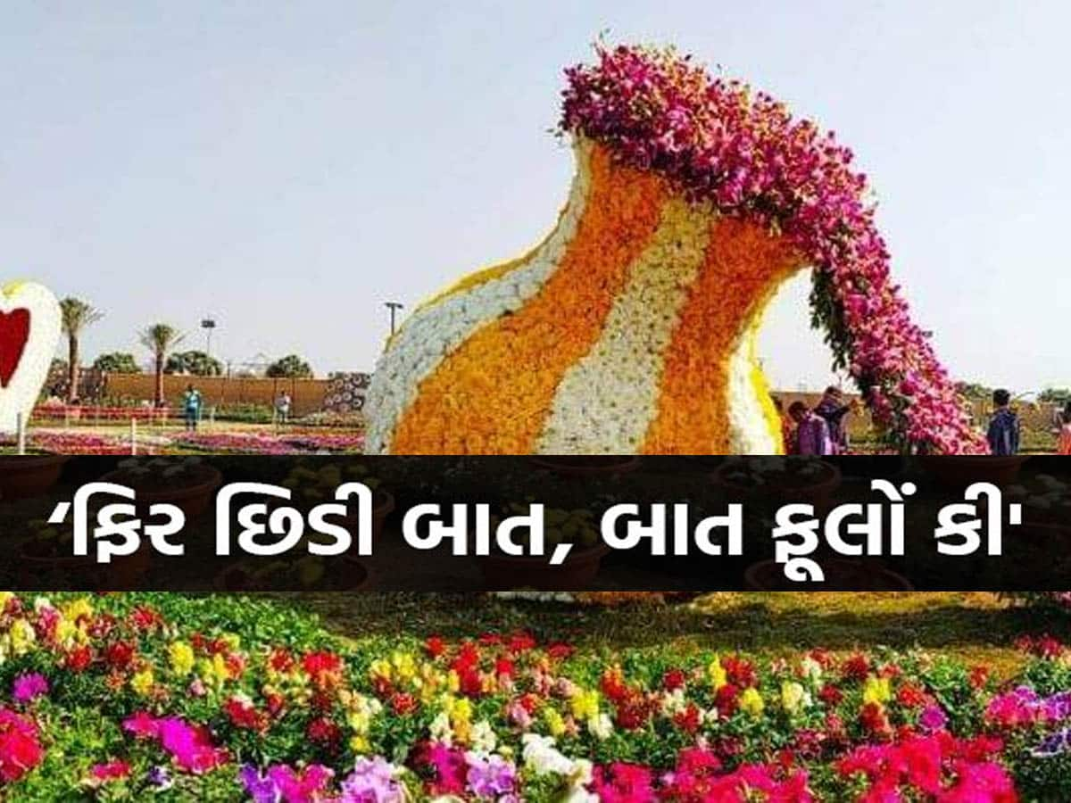 અમદાવાદમાં ભવ્ય 'ફ્લાવર શો' જોવા ખાલી કરવા પડશે ખિસ્સા; આ વખતે આટલી વસ્તુઓ છે નવી! 