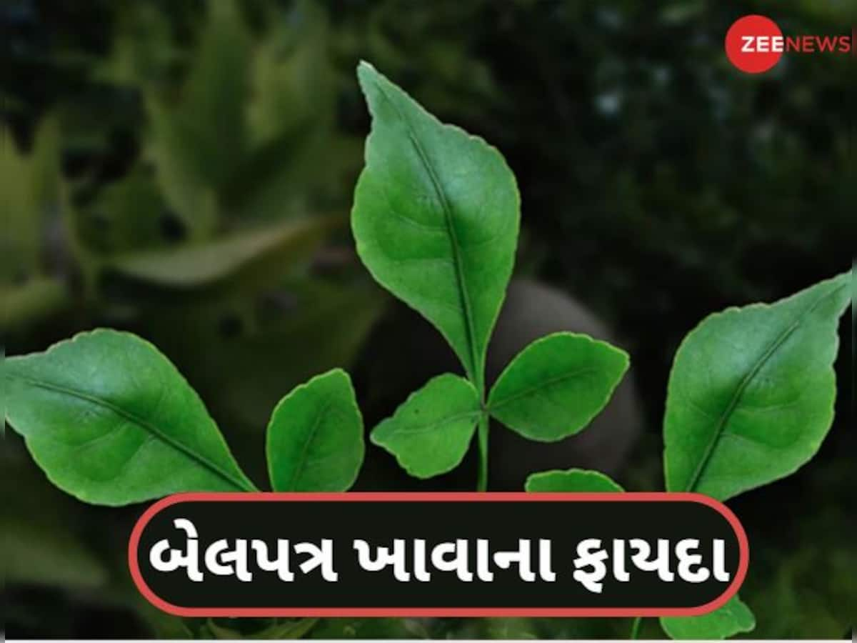 આ લોકો માટે અમૃતથી ઓછું નથી બેલપત્ર, સવારે ખાલી પેટ ખાવાથી મળશે ચોંકાવનારા ફાયદા