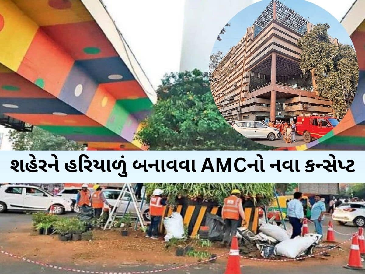 સુરતની જેમ હવે અમદાવાદની પણ શોભા વધશે! શહેરના આ 3 બ્રિજના છેડે બનાવાશે વર્ટિકલ ગાર્ડન