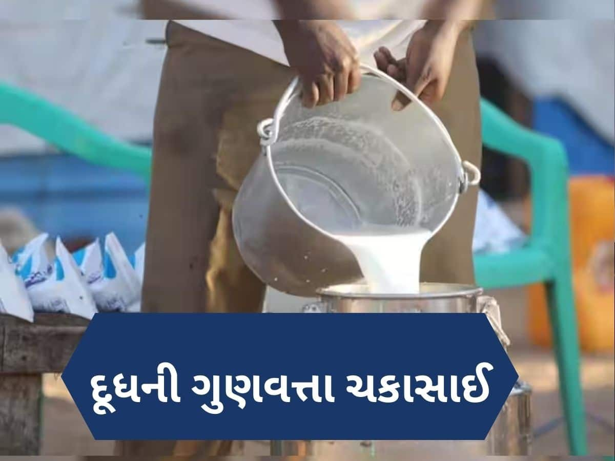 શું ગુજરાતમાં લોકોને મળી રહ્યું છે શુદ્ધ દૂધ? 900 જેટલા નમૂનાની તપાસ, જાણો શું આવ્યો રિપોર્ટ