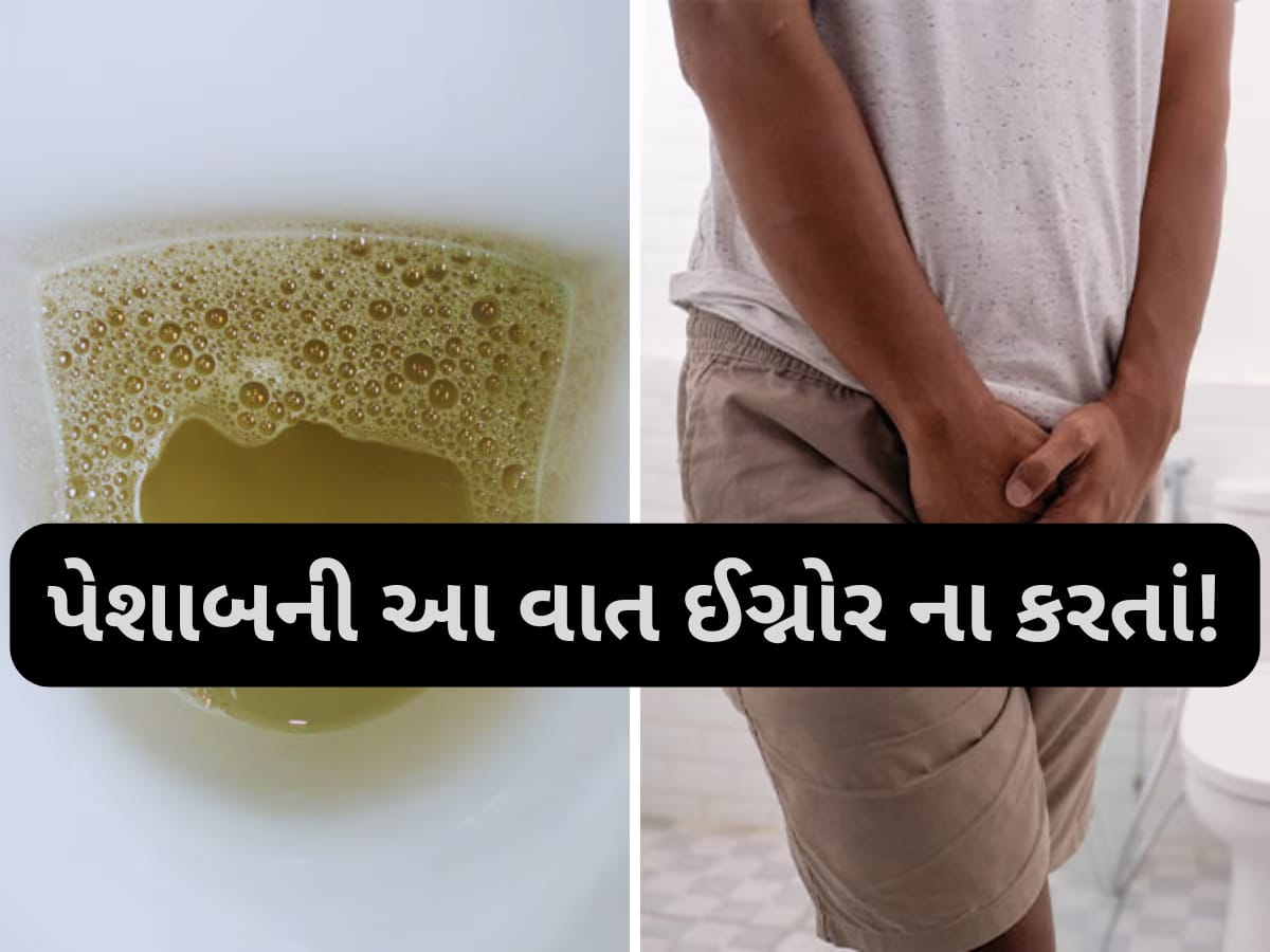 પેશાબમાં ફીણ આવે તો હોઈ શકે છે આ ગંભીર રોગોના સંકેત? તાત્કાલિક ડોક્ટરને બતાવો...