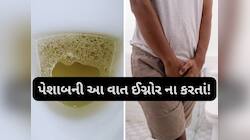 પેશાબમાં ફીણ આવે તો હોઈ શકે છે આ ગંભીર રોગોના સંકેત? તાત્કાલિક ડોક્ટરને બતાવો...