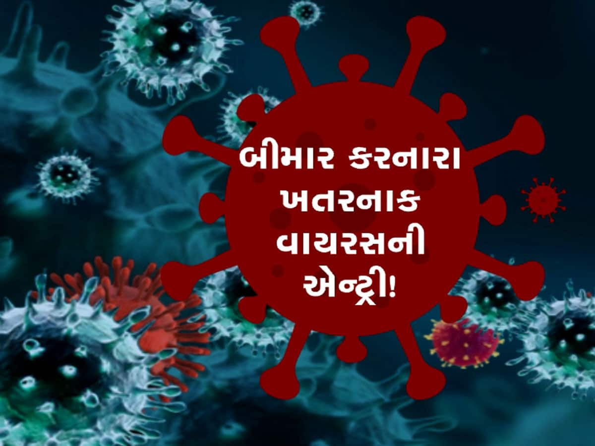 ગુજરાતમાં આવેલા ચીની વાયરસના લેટેસ્ટ અપડેટ, નિષ્ણાતોએ આપી આ સલાહ