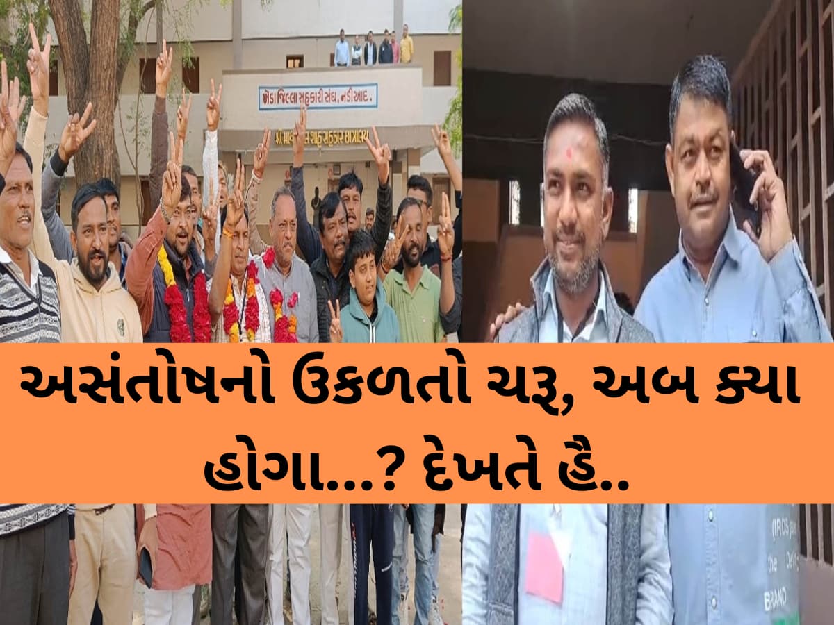 સહકારી સંઘની ચૂંટણીમાં આદેશની ઐસીતૈસી; ગુજરાતમાં BJP પૂર્વ ધારાસભ્ય સામે ભાજપમાં જ ઉકળતો ચરૂ