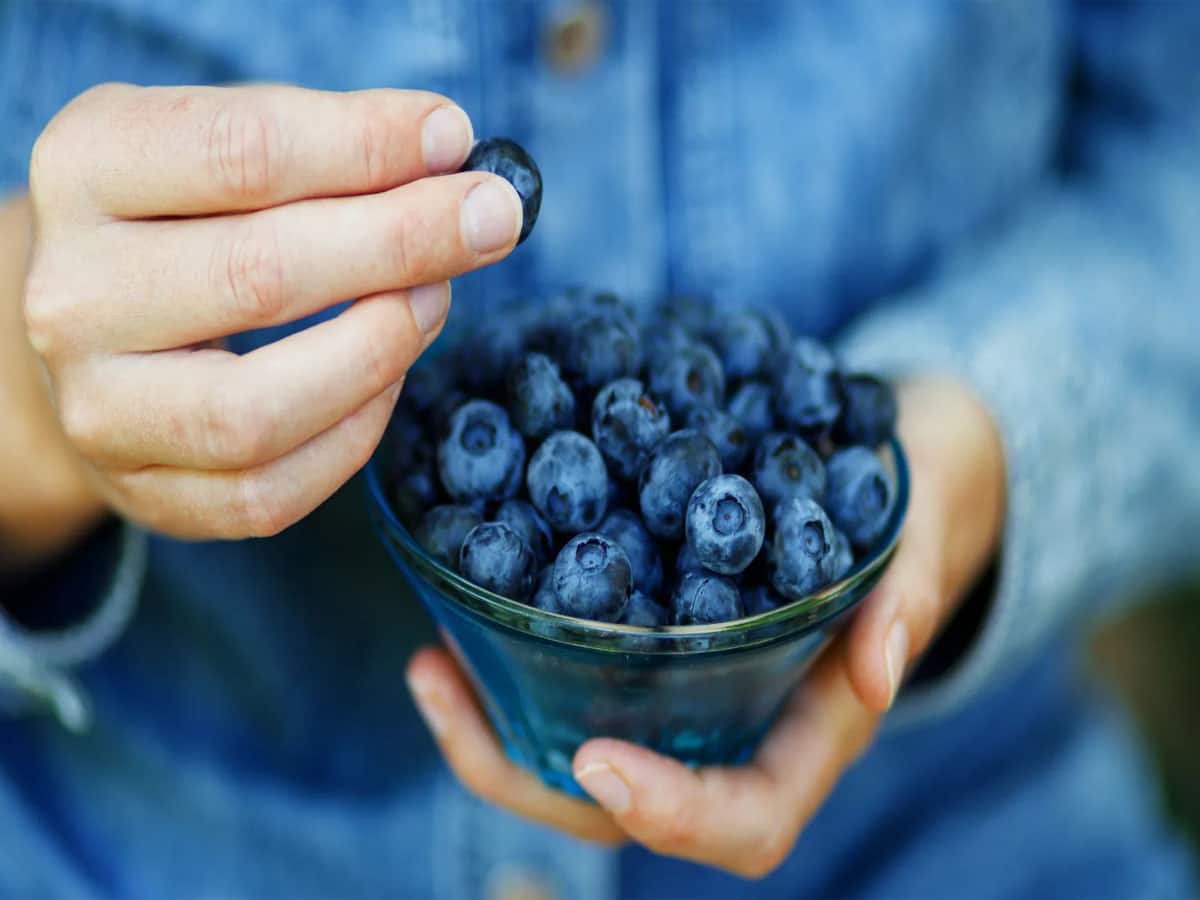 Blueberry Health Benefits: રોજ બ્લૂબેરી ખાવાનું શરુ કરી દો, થોડા દિવસમાં જ દેખાવા લાગશે આ 4 જબરદસ્ત ફાયદા