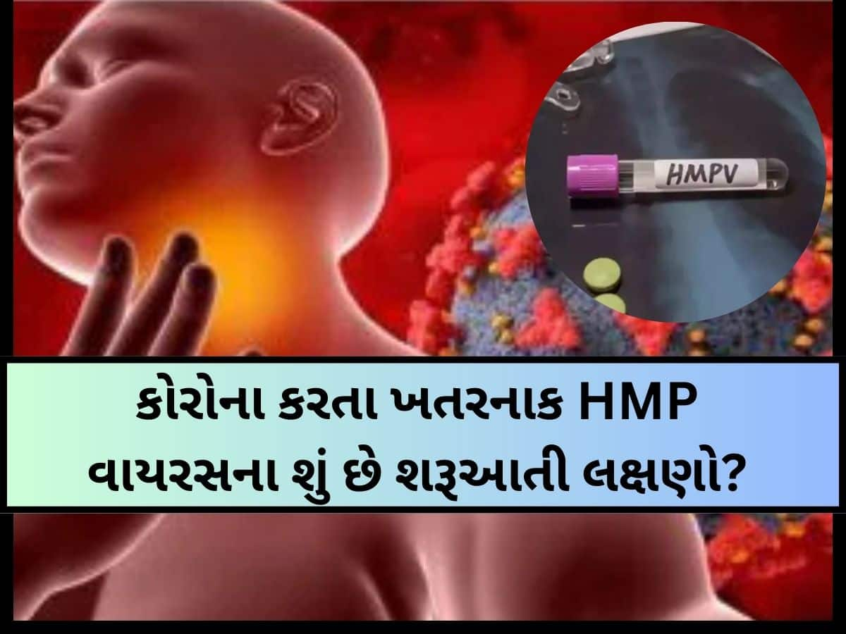 HMP વાયરસને લઈ ગુજરાતના આ જિલ્લામાં આરોગ્ય વિભાગ હરકતમાં! વિધાર્થીઓની સુરક્ષાને લઈ મહત્વનો નિર્ણય