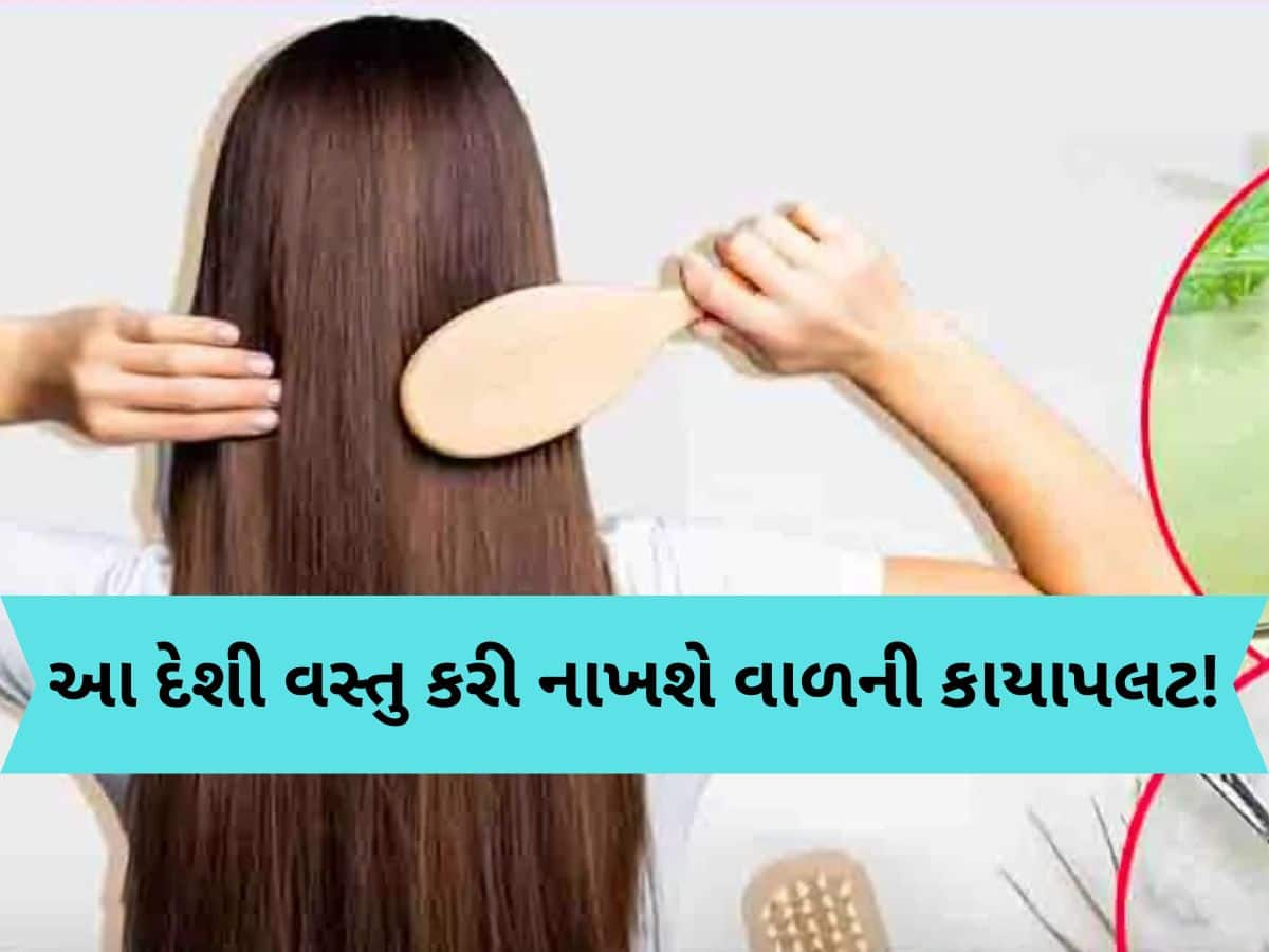 Hair Care Tips: લાંબા અને મજબૂત વાળ માટે ટામેટામાં આ 3 ચીજો મિક્સ કરો, જાણો ઉપયોગ કરવાની સાચી રીત...