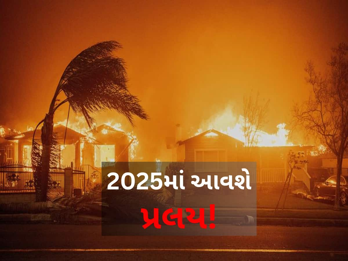 અમેરિકામાં લાગેલી આગ તો ટ્રેલર છે! 2024 સૌથી ગરમ રહ્યું, 2025 શરૂઆતથી જ પ્રલયની દસ્તક