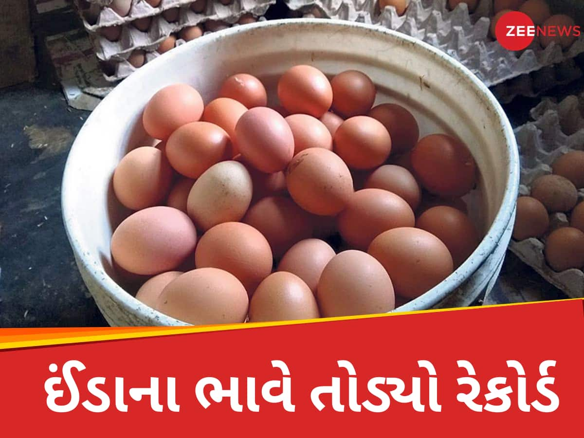 Egg Price: ઈંડાના ભાવે તોડ્યો રેકોર્ડ, 2000નું એક ક્રેટ હોવા છતા પણ બજારમાંથી ગાયબ