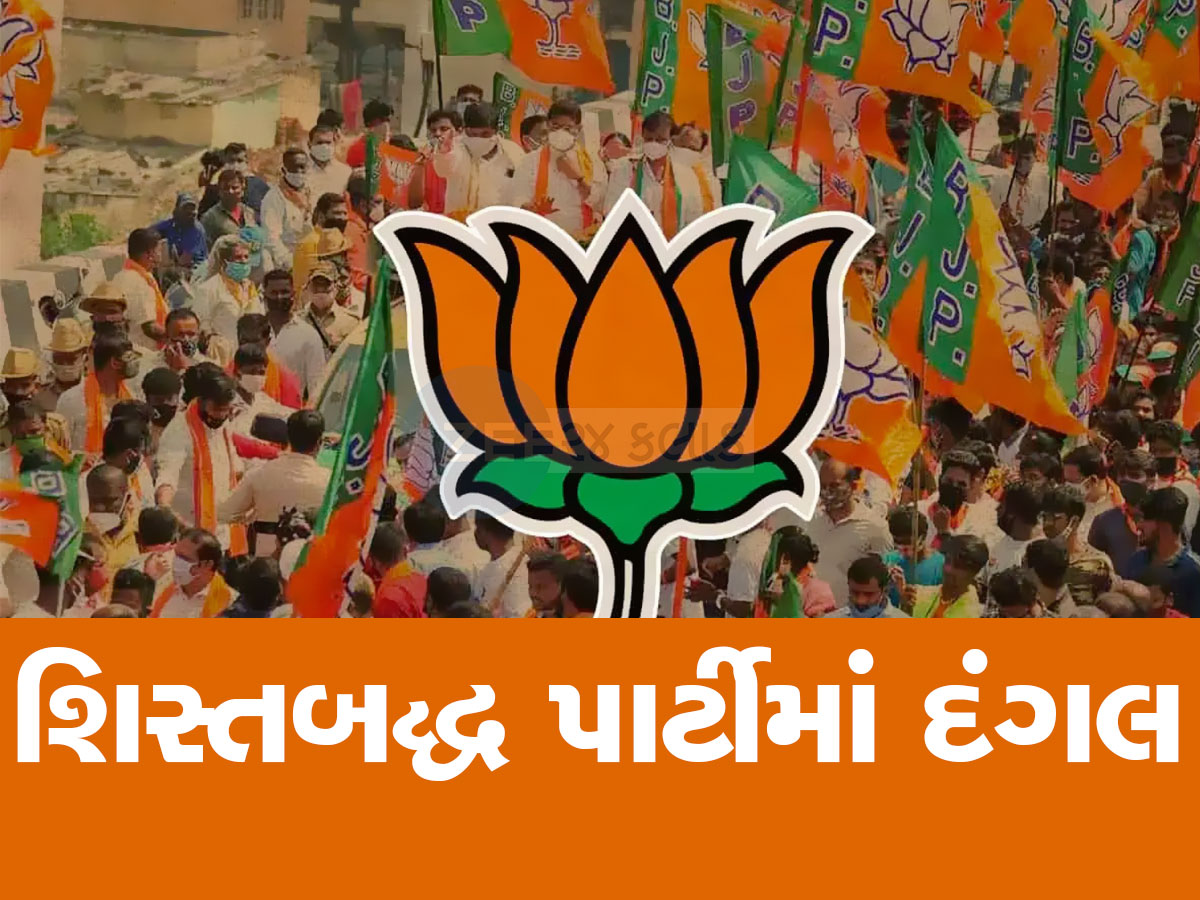 ભાજપમાં પ્રમુખોની નિમણૂંક માટે દિલ્હીથી આવી મોટી ખબર, કમલમમાં પોતાના માણસો ગોઠવવા લોબિંગ શરૂ