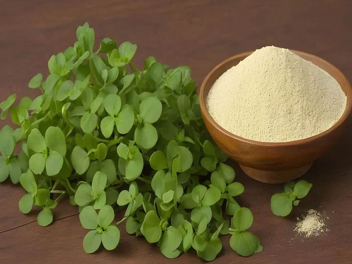 Indian Herb: યાદશક્તિ વધારતી આ ભારતીય જડીબુટ્ટી પાછળ વિદેશીઓ પાગલ, જાણો તેના 4 સૌથી મોટા ફાયદા