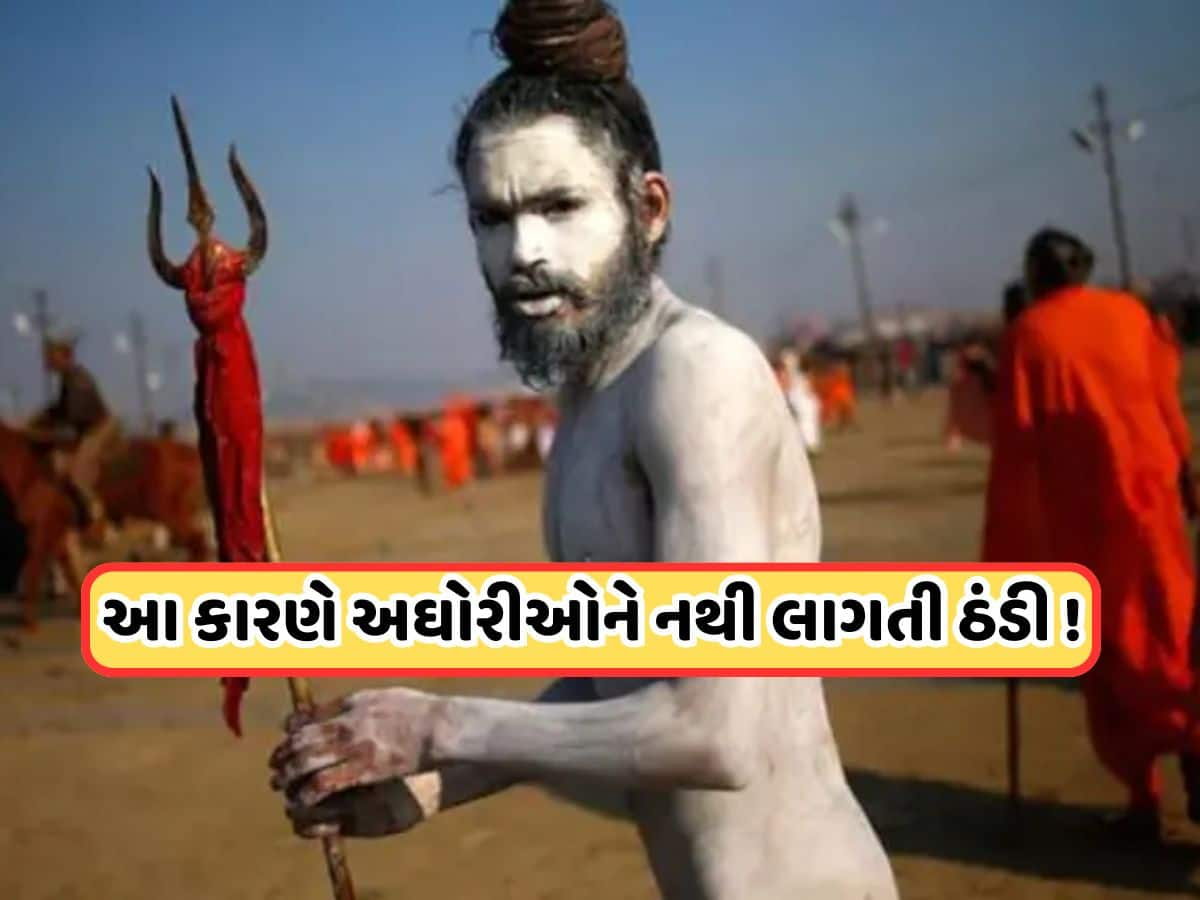 Naga Sadhu: આટલી ઠંડીમાં પણ નાગા સાધુઓ કેવી રીતે રહી શકે છે નગ્ન, જાણો તેની પાછળનું વિજ્ઞાન