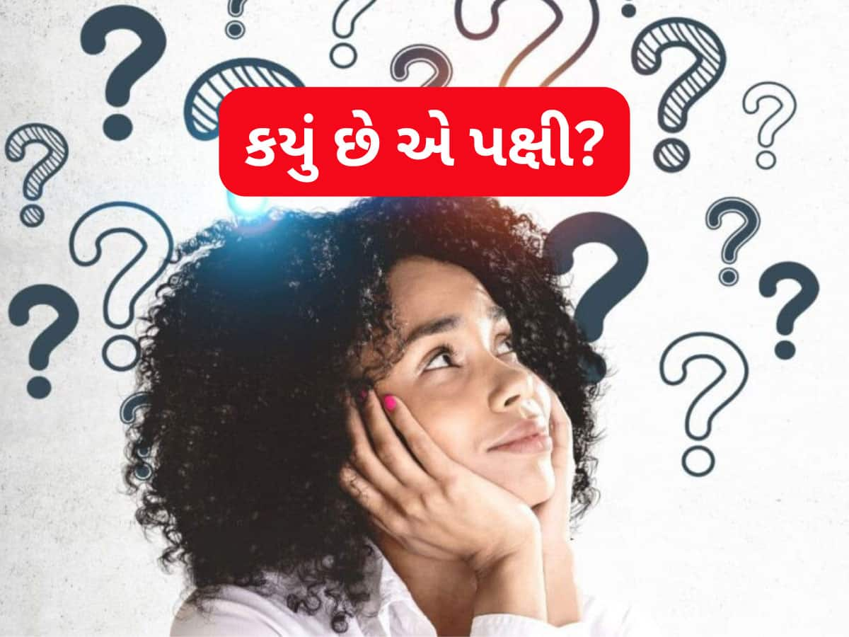 GK Quiz: એવું તે કયું પક્ષી છે જે દૂધમાંથી પાણી અલગ કરીને દૂધ પી જાય છે? 