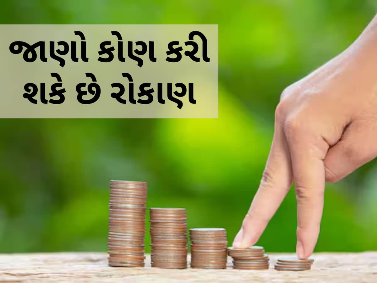 કમાણી કરવાની મોટી તક! હવે માત્ર 100 રૂપિયાથી નવા ફંડમાં શરૂ કરો રોકાણ, થઈ જશો માલામાલ