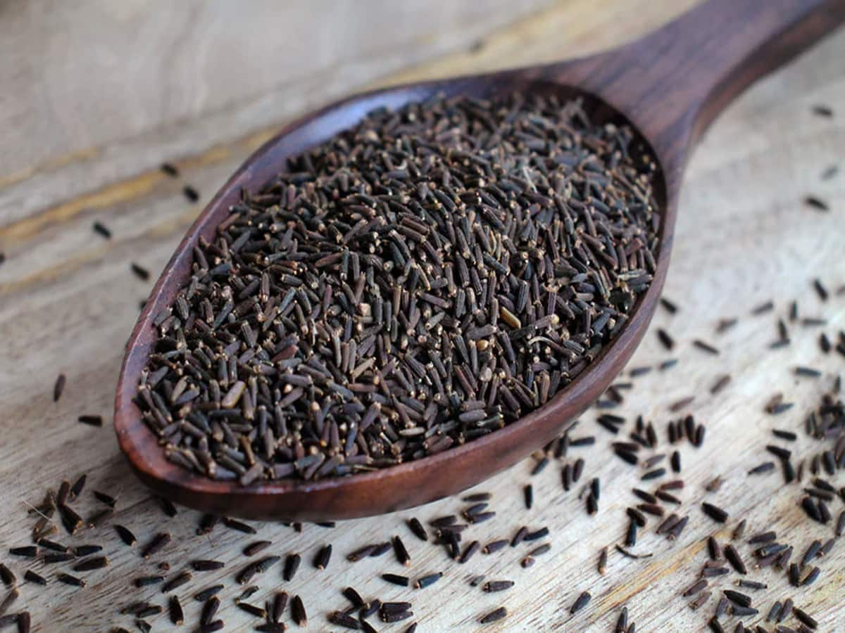 Black Cumin: પાચન માટે અમૃત છે કાળુ જીરું, આ રીતે ઉપયોગ કરશો તો શુગર અને કોલેસ્ટ્રોલ પણ કંટ્રોલમાં રહેશે