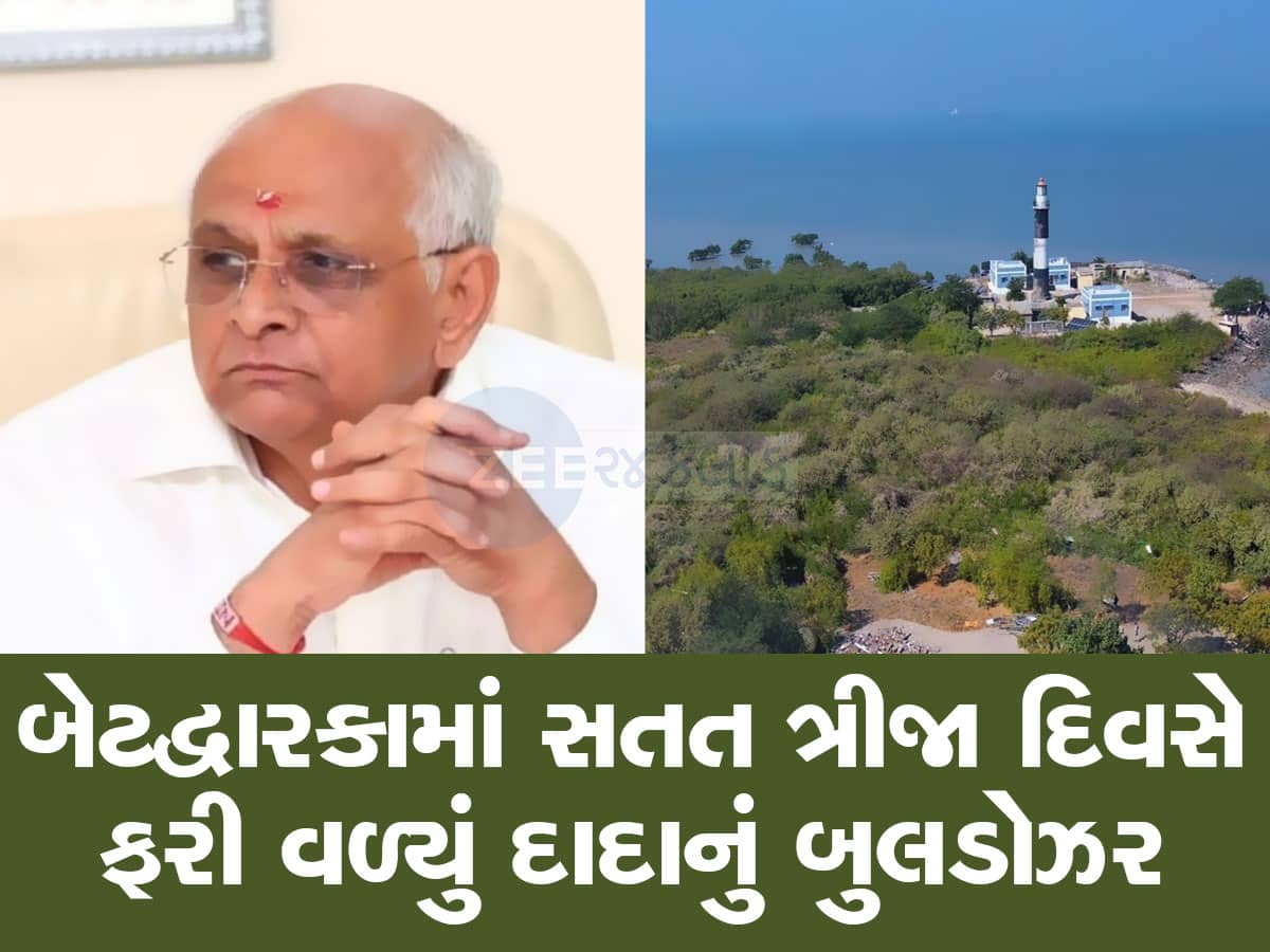 ગેરકાયદેસર દબાણોથી મુક્ત થયો ગુજરાતનો સૌથી સુંદર ટાપુ, દાદાનું બુલડોઝર એવું ફર્યું કે અહીં ફરી જીવંત થશે જીવસૃષ્ટિ    