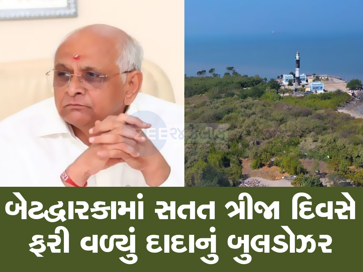 ગેરકાયદેસર દબાણોથી મુક્ત થયો ગુજરાતનો સૌથી સુંદર ટાપુ, દાદાનું બુલડોઝર એવું ફર્યું કે અહીં ફરી જીવંત થશે જીવસૃષ્ટિ