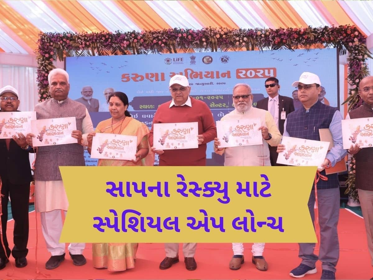 અમદાવાદ જિલ્લામાં કોઈ જગ્યાએ સાપ દેખાય તો આ નંબર પર કરો મેસેજ, તત્કાલ પહોંચી જશે રેસ્ક્યુ ટીમ