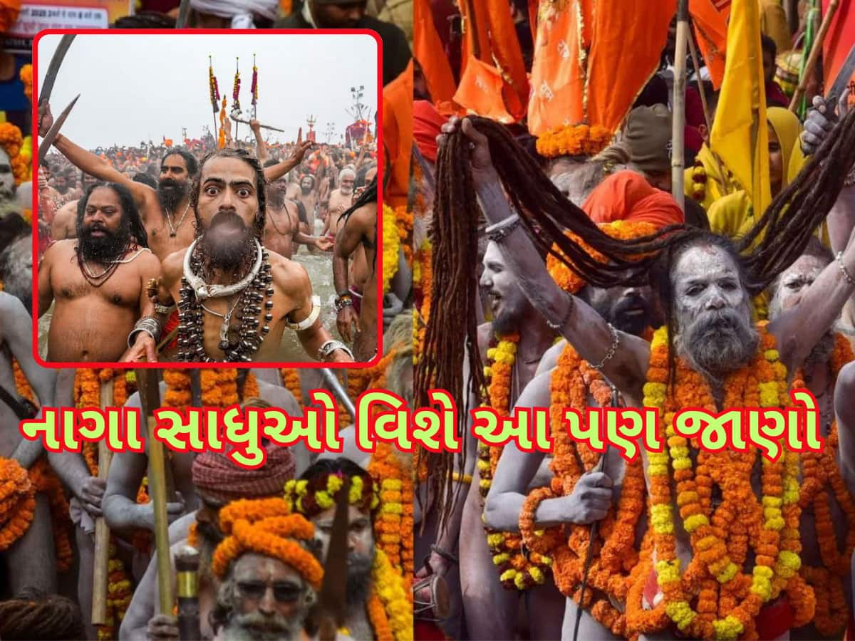 Maha Kumbh 2025: નાગા સાધુઓને નથી અપાતો મુખાગ્નિ...તો પછી કેવી રીતે થાય છે અંતિમ સંસ્કાર? ખાસ જાણો 