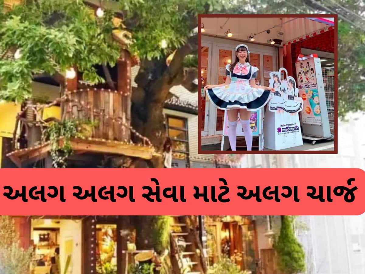 Trending News: 500 રૂપિયા આપો અને 3 મિનિટ માટે વેઈટ્રેસના ખોળામાં બેસો, આ કેફે આપે છે આવી સુવિધા, જાણો વિગતો