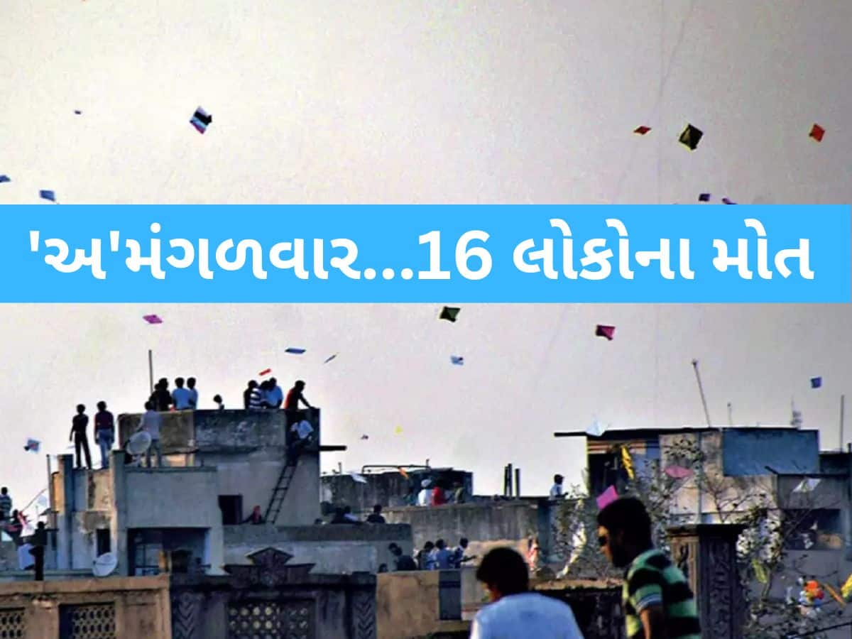 ગુજરાતમાં ઉત્તરાયણનો તહેવાર બન્યો ઘાતક! 16 લોકોના કરૂણ મોત, 4256 ઈમરજન્સી કોલ મળ્યા