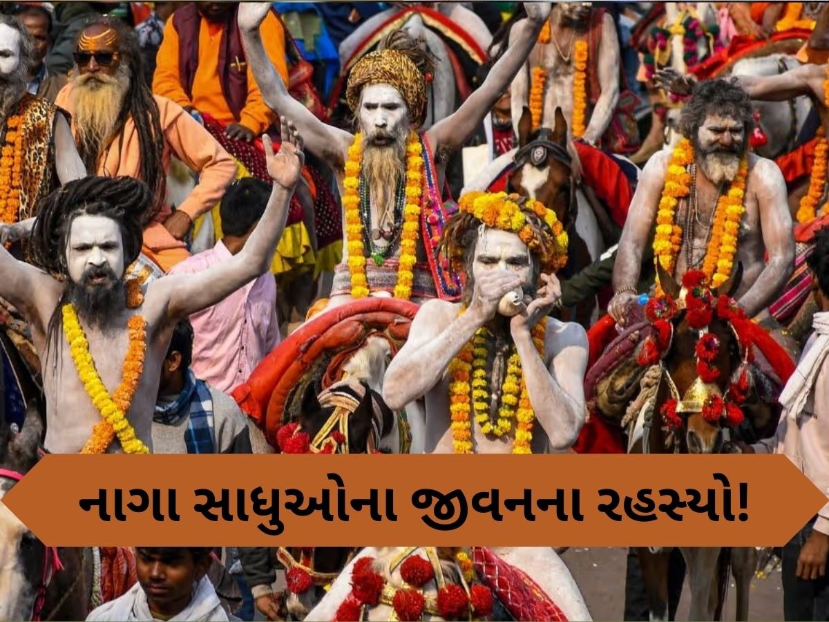 કુંભ મેળા બાદ કયાં ગાયબ થઈ જાય છે નાગા સાધુ? તેમની રહસ્યમયી દુનિયા વિશે AtoZ જાણકારી
