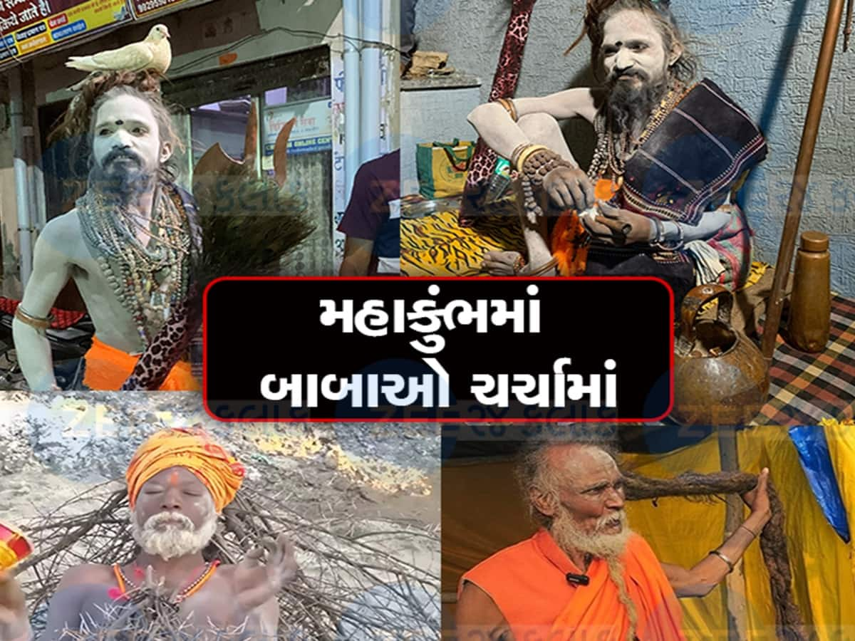 વિવિધ બાબાઓએ કુંભમાં જગાવ્યું આકર્ષણ, કાંટાવાળા બાબા, કબૂતર બાબા ચર્ચામાં