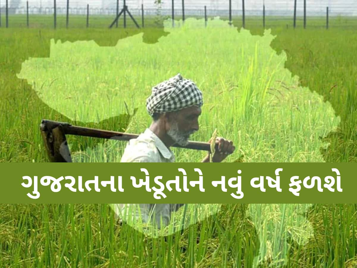 ગુજરાત સરકારનો આ લાભ લેવામાં મોડા પડ્યા છો? ઉતાવળ કરજો, 33863 ખેડૂતોએ કરાવી દીધી નોંધણી