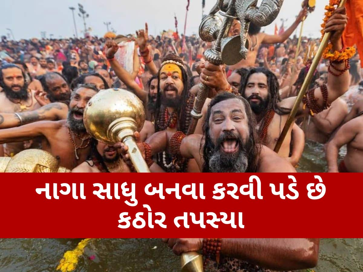 મહાકુંભમાં જ કેમ બને છે નાગા? 5 હજાર સંન્યાસી જીવતા જ પિંડદાન કરને બનશે નાગા સાધુ