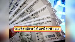 ₹100થી ઓછી કિંમતના આ 4 શેર આવતા અઠવાડિયે કરાવશે જોરદાર નફો ! જાણો