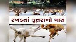 ગુજરાતના આ જિલ્લામાં હડકાયા કૂતરાથી લોકોમાં ભયનો માહોલ, ઘણા લોકો પર કર્યો હુમલો