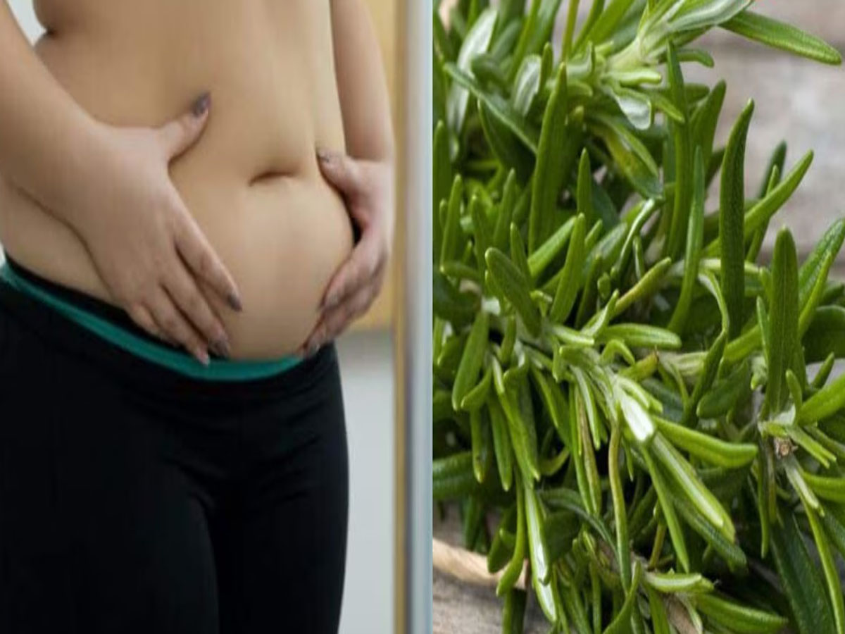 Belly Fat: પેટ ઘટાડવું છે પણ વર્કઆઉટ માટે સમય નથી ? તો આ 5 પાન ખાઈને બનો સ્લીમ, ફુલેલું પેટ થઈ જશે ફ્લેટ