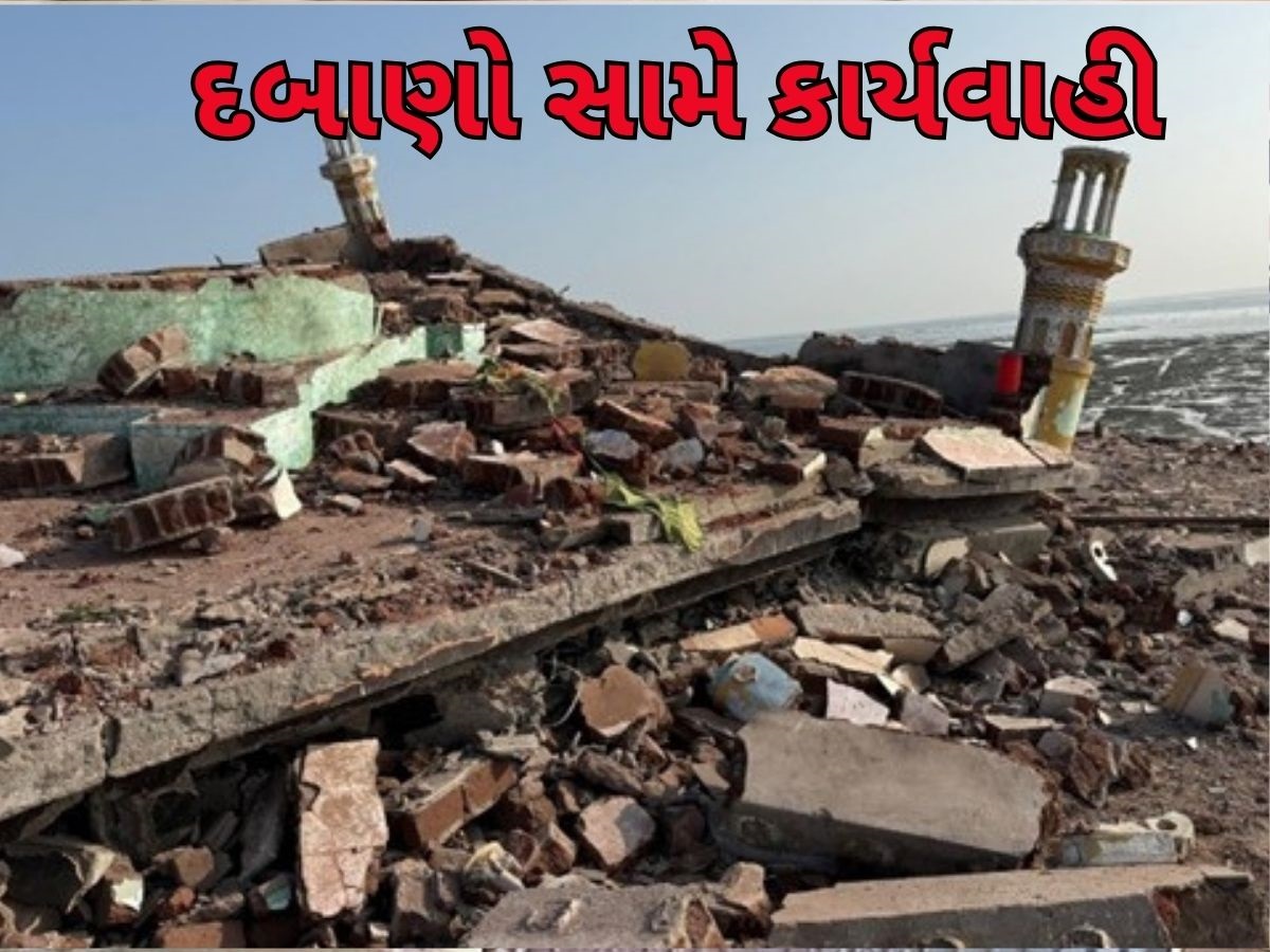 દેવભૂમિ દ્વારકાના 7 ટાપુઓ પર ગેરકાયદેસર ઊભા કરાયેલા 36 દબાણો દૂર કરાયા, ફરી વળ્યું બુલડોઝર