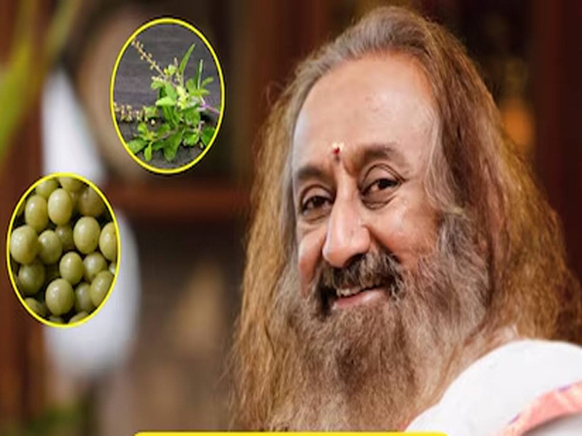 Tulsi-Amla: વાસી મોઢે આ 2 વસ્તુ ખાવાથી દુર થશે બધા જ રોગ, શ્રી શ્રી રવિશંકરએ જણાવ્યું નિરોગી રહેવાનું સીક્રેટ