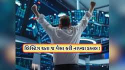 આને કેવાય IPO! લિસ્ટિંગની મિનિટોમાં 100% વધ્યો આ શેર, પહેલા જ દિવસે પૈસા થઈ ગયા ડબલ