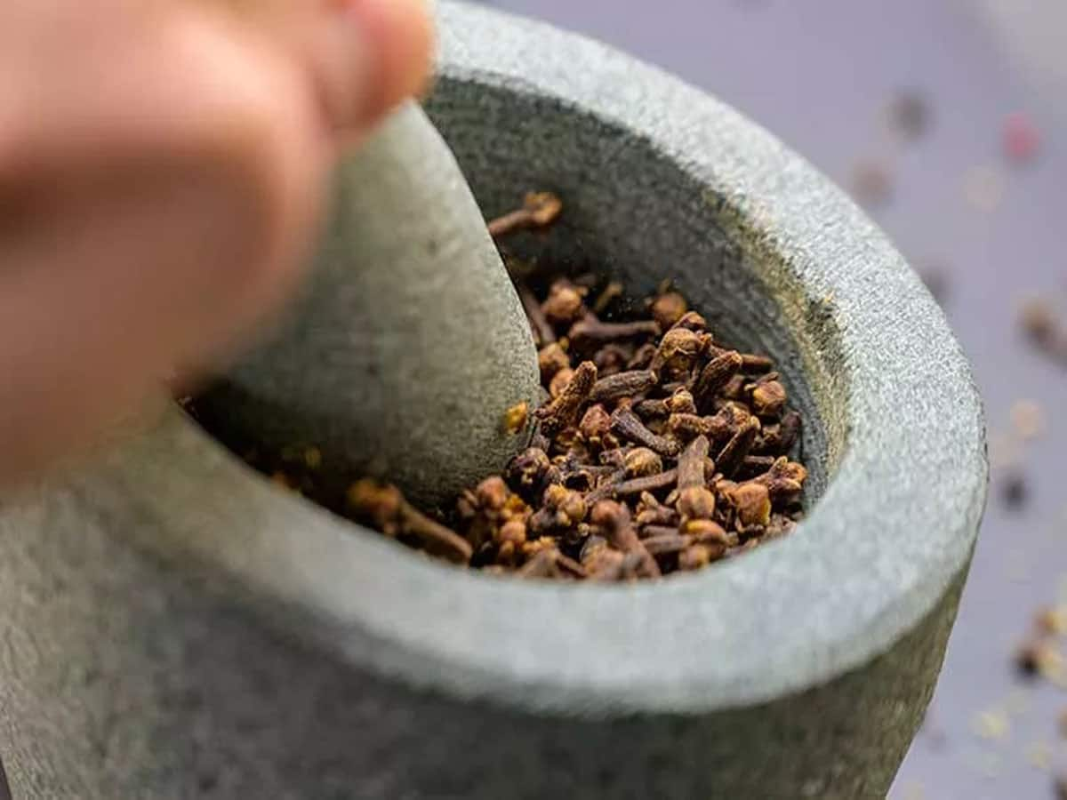 Clove Benefits: રોજ આ રીતે 1 લવિંગ ખાશો તો પણ તબીયત સુધરવા લાગશે, જાણો લવિંગ ખાવાની સાચી રીત