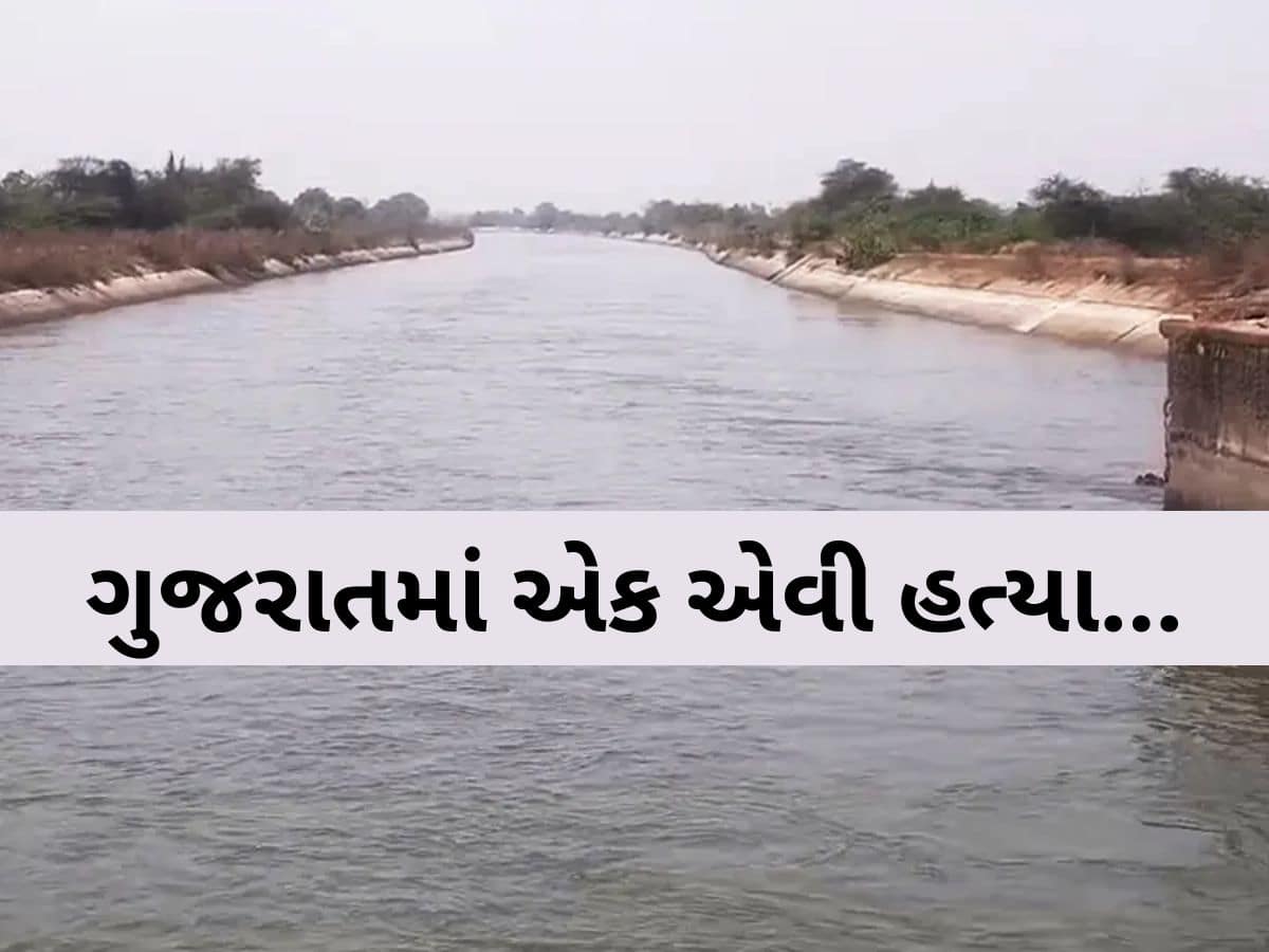 કેનાલમાંથી મળેલ લાશને ઉકેલવામાં પોલીસને ચાર મહિના લાગ્યા! આત્મહત્યા લાગતો કેસ કેવી રીતે બન્યો ખૂંખાર