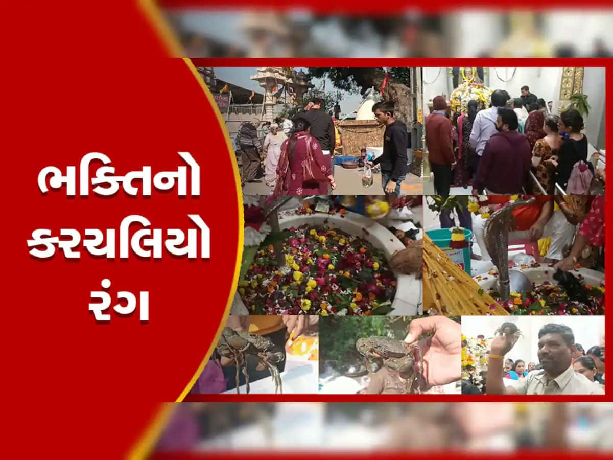 જીવતા કરચલાઓથી ભરાઈ જાય છે ગુજરાતનું આ મંદિર, શિવલિંગની ફરતે વીંટળાયેલા દેખાય