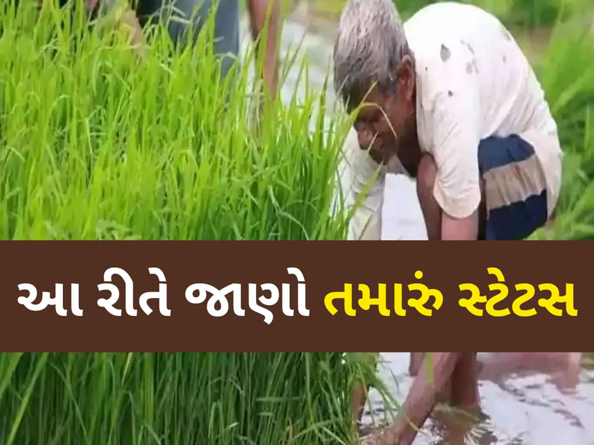 આ ખેડૂતોને નહીં મળે PM કિસાન યોજનાનો લાભ, અહીં ચેક કરો તમારું નામ નથીને લિસ્ટમાં!