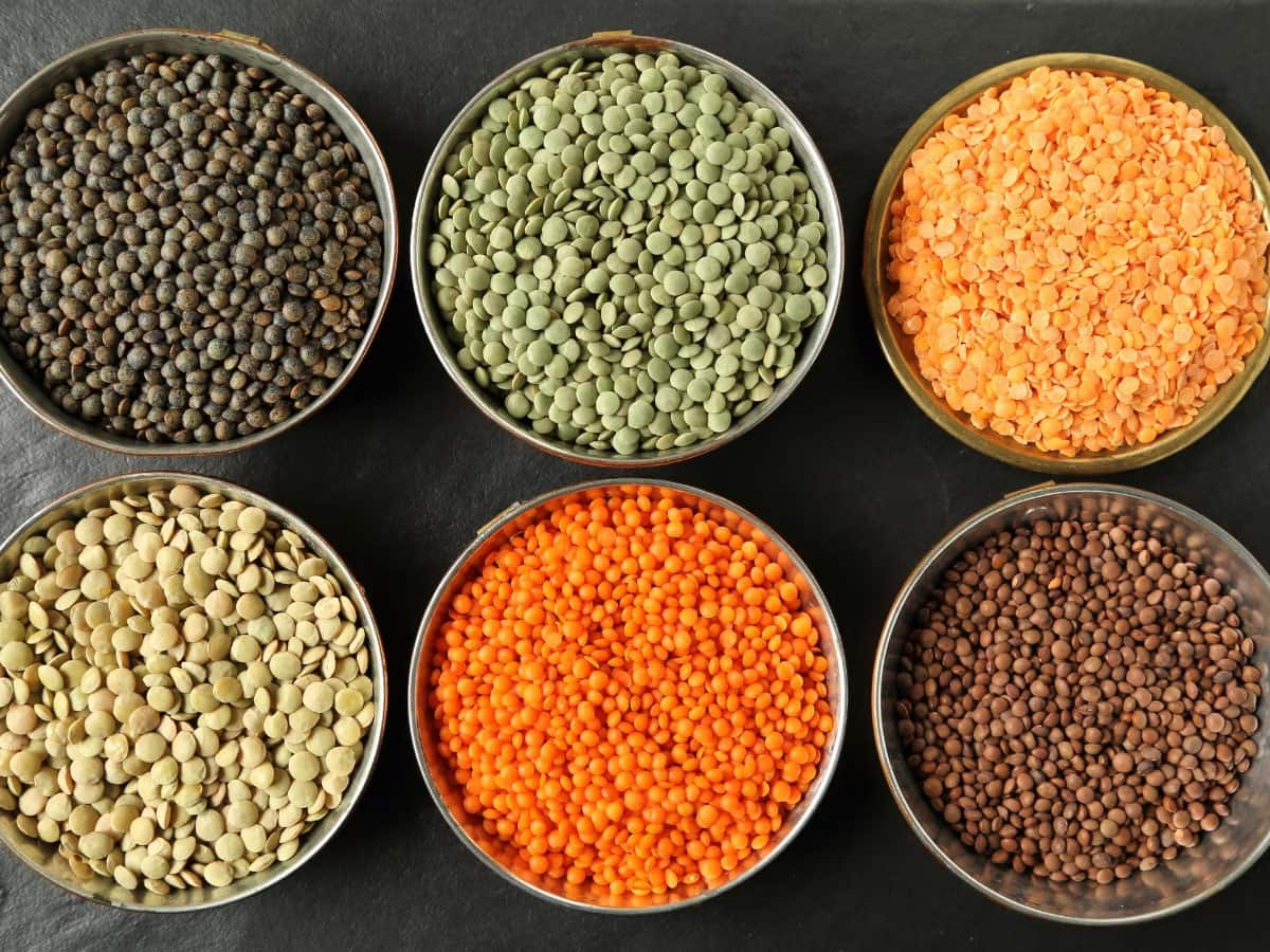 Lentils: મગથી લઈ મસૂર સુધીની દરેક દાળના ગુણ અલગ, જાણો તમારા માટે કઈ દાળ છે ફાયદાકારક ?