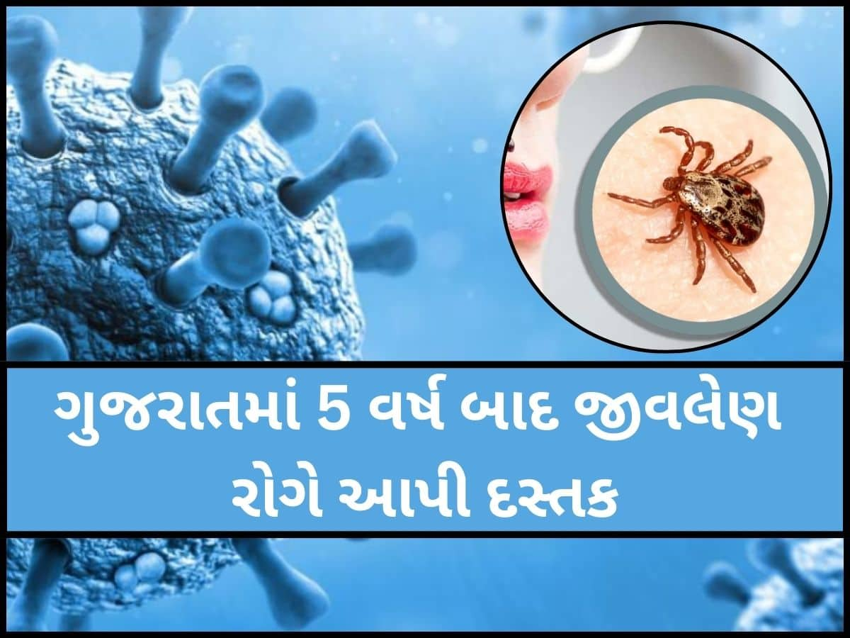 ફરી એકવાર ગુજરાત ખતરામાં! આ જિલ્લામાં નોંધાયો જીવલેણ રોગનો કેસ, આખરે હોસ્પિટલમાં મોત