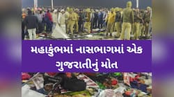 મહાકુંભમાં થયેલી નાસભાગમાં ગુજરાતના એક સહિત 30 શ્રદ્ધાળુના મોત, 60 ઘાયલ