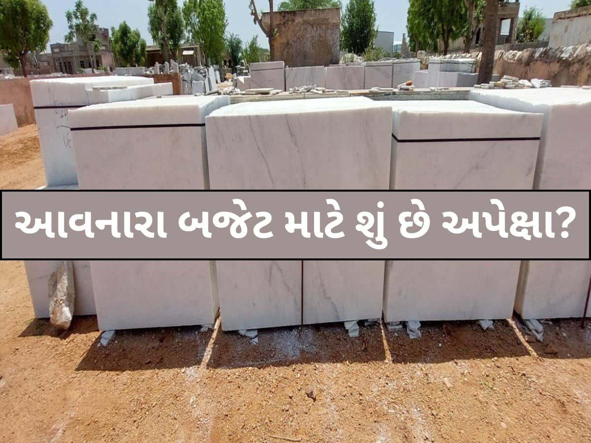 આગામી બજેટને લઈને અંબાજીના માર્બલ ઉધોગકારોમાં નિરાશા! જાણો શું છે કારણ અને શું રાખે છે અપેક્ષા?