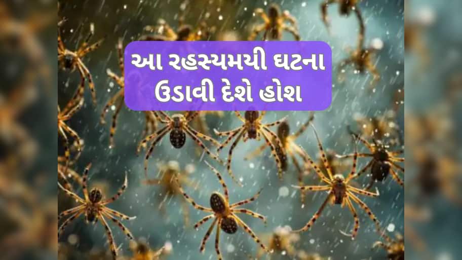 આ શહેરમાં અચાનક આકાસમાંથી વરસ્યા સેંકડો કરોળિયા, આ ડરામણી ઘટના પાછળ શું હકીકત?