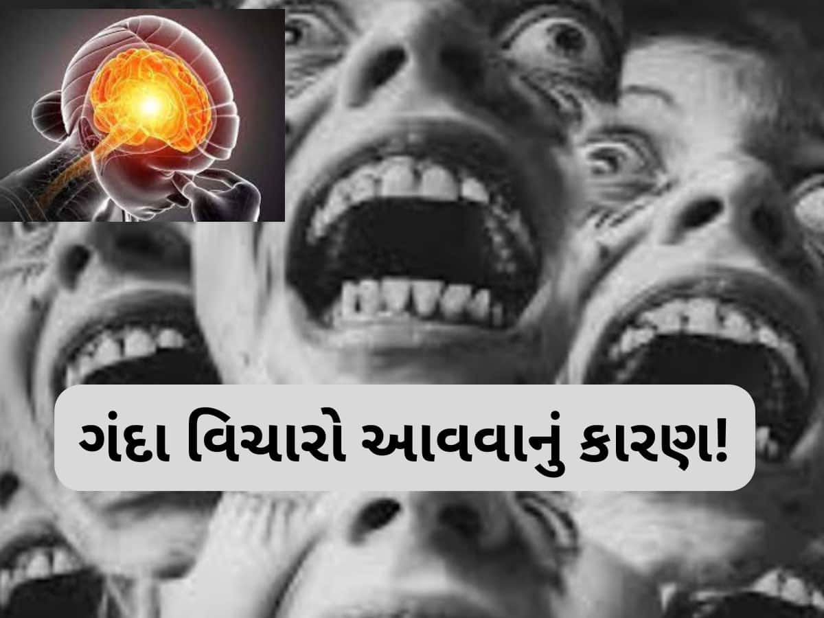 Trending Quiz : શું તમને ખબર છે કયા વિટામીનની ઉણપથી મગજમાં ગંદા વિચારો આવતા હોય છે?